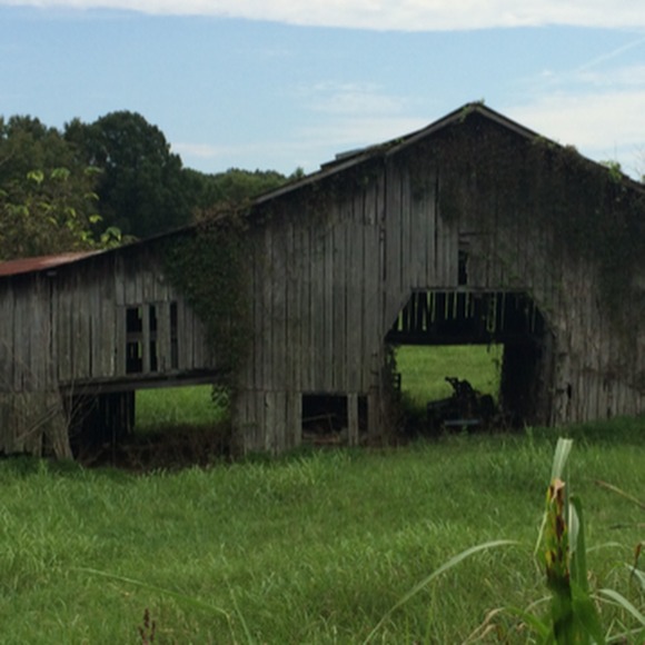 Meet your Posher, Denise - Picture 1 of 2